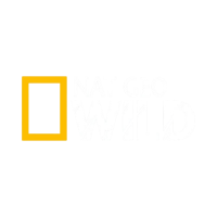 wild-removebg-preview-qt90tfo158jved63t1n1oqf4ekffosv43moqolq3m8